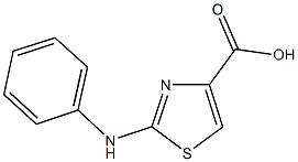 2-Phenylamino-thiazole-4-carboxylic acid CAS#: 165683-01-2