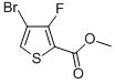 2-Thiophenecarboxylic acid, 4-bromo-3-fluoro-, methyl ester CAS#: 395664-56-9