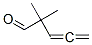 2,2-dimethylpenta-3,4-dienal CAS#: 4058-51-9