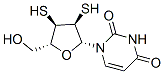 2',3'-DITHIOURIDINE CAS#: 156592-92-6