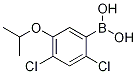 2,4-Dichloro-5-isopropoxyphenylboronic acid CAS#: 325786-18-3