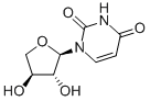 2,4(1H,3H)-Pyrimidinedione, 1-[(2R,3R,4S)-tetrahydro-3,4-dihydroxy-2-furanyl]- (9CI) CAS#: 325683-85-0
