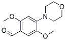 2,5-DIMETHOXY-4-MORPHOLIN-4-YL-BENZALDEHYDE CAS#: 154519-07-0