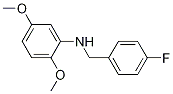 2,5-DiMethoxy-N-(4-fluorobenzyl)aniline, 97% CAS#: 356531-61-8