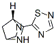 2,5-Diazabicyclo[2.2.1]heptane,2-(1,2,4-thiadiazol-5-yl)-,(1R)-(9CI) CAS#: 174953-95-8