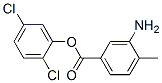 2,5-Dichlorophenyl 3-amino-4-methylbenzoate CAS#: 169739-68-8