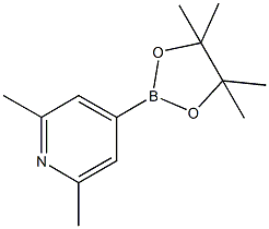 2,6-DIMETHYLPYRIDINE-4-BORONIC ACID, PINACOL ESTER CAS#: 325142-95-8