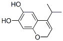 2H-1-Benzopyran-6,7-diol, 4-(1-methylethyl)- (9CI) CAS#: 374695-14-4