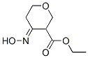 2H-Pyran-3-carboxylicacid,tetrahydro-4-(hydroxyimino)-,ethylester(9CI) CAS#: 384330-32-9