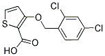 3-[(2,4-DICHLOROBENZYL)OXY]-2-THIOPHENECARBOXYLIC ACID CAS#: 343376-05-6