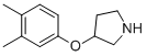3-(3,4-DIMETHYLPHENOXY)PYRROLIDINE CAS#: 337912-65-9