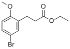3-(5-BROMO-2-METHOXY-PHENYL)-PROPIONIC ACID ETHYL ESTER CAS#: 350698-35-0