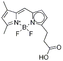 3-BODIPY-PROPANOIC ACID CAS#: 165599-63-3