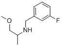 (3-FLUORO-BENZYL)-(2-METHOXY-1-METHYL-ETHYL)-AMINE CAS#: 355816-49-8