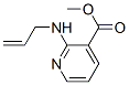 3-Pyridinecarboxylicacid,2-(2-propenylamino)-,methylester(9CI) CAS#: 157362-04-4