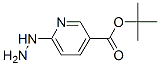 3-Pyridinecarboxylicacid,6-hydrazino-,1,1-dimethylethylester(9CI) CAS#: 163213-19-2