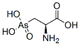 3-arsonoalanine CAS#: 151291-89-3