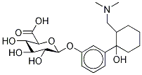 O-Desmethyl Tramadol β-D-Glucuronide CAS#: 383891-39-2