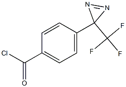 4-[3-(Trifluoromethyl)-3H-diazirin-3-yl]benzoyl chloride CAS#: 326923-35-7
