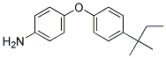 4-[4-(TERT-PENTYL)PHENOXY]PHENYLAMINE CAS#: 328032-81-1