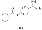 4-AMIDINOPHENYL BENZOATE HYDROCHLORIDE CAS#: 40761-72-6