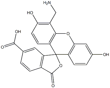 4'-AMinoMethyl-5-FAM CAS#: 326802-08-8