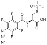 4-Azido-2,3,5,6-tetrafluorobenzamidocysteine Methanethiosulfonate CAS#: 352000-06-7