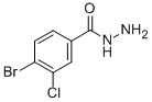 4-BROMO-3-CHLOROBENZHYDRAZIDE CAS#: 148993-19-5