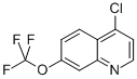 4-CHLORO-7-TRIFLUORO METHOXYQUINOLINE CAS#: 40516-31-2
