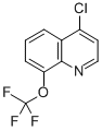4-CHLORO-8-TRIFLUOROMETHOXYQUINOLINE CAS#: 40516-42-5