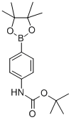 4-(N-Boc-amino)phenylboronic acid pinacol ester CAS#: 330793-01-6
