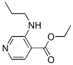 4-Pyridinecarboxylicacid,3-(propylamino)-,ethylester(9CI) CAS#: 151323-47-6