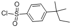 4-TERT-AMYLBENZENESULFONYL CHLORIDE CAS#: 169677-20-7