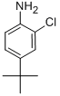 4-(TERT-BUTYL)-2-CHLOROANILINE CAS#: 42265-67-8
