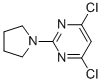 4,6-DICHLORO-2-PYRROLIDIN-1-YL-PYRIMIDINE CAS#: 154117-91-6