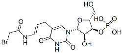 5-(3-(bromoacetamido)allyl)uridine-3'-monophosphate CAS#: 144978-95-0