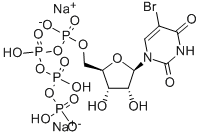 5-BROMOURIDINE 5'-TRIPHOSPHATE SODIUM CAS#: 161848-60-8