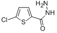 5-CHLORO-2-THIOPHENECARBOXYLIC ACID HYDRAZIDE CAS#: 351983-31-8