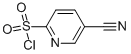 5-CYANOPYRIDINE-2-SULFONYL CHLORIDE CAS#: 174486-12-5