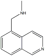 5-Isoquinolinemethanamine,N-methyl-(9CI) CAS#: 157610-84-9