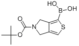 5-(TERT-BUTOXYCARBONYL)-5,6-DIHYDRO-4H-THIENO[3,4-C]PYRROL-1-YL BORONIC ACID CAS#: 173667-16-8