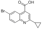 6-BROMO-2-CYCLOPROPYL-QUINOLINE-4-CARBOXYLIC ACID CAS#: 313241-16-6