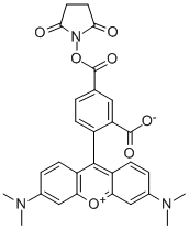 6-CARBOXYTETRAMETHYLRHODAMINE N-HYDROXYSUCCINIMIDE ESTER CAS#: 150810-68-7