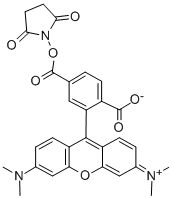 6-Carboxytetramethylrhodamine succinimidyl ester CAS#: 150810-69-8