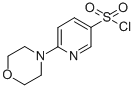 6-MORPHOLIN-4-YL-PYRIDINE-3-SULFONYL CHLORIDE CAS#: 337508-68-6