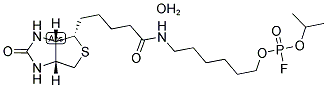 6-N-BIOTINYLAMINOHEXYL ISOPROPYL PHOSPHOROFLUORIDATE, HEMIHYDRATE CAS#: 353754-93-5