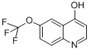 6-(TRIFLUOROMETHOXY)-4-QUINOLINOL CAS#: 175203-87-9