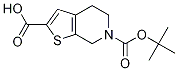 6-(tert-butoxycarbonyl)-4,5,6,7-tetrahydrothieno[2,3-c]pyridine-2-carboxylic acid CAS#: 165947-51-3