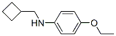 Benzenamine, N-(cyclobutylmethyl)-4-ethoxy- (9CI) CAS#: 356539-68-9