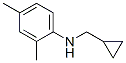Benzenamine, N-(cyclopropylmethyl)-2,4-dimethyl- (9CI) CAS#: 356539-40-7